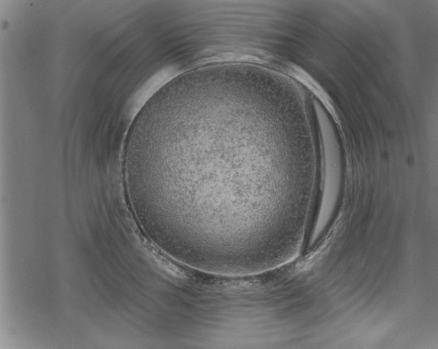 X0000069791002200605221110