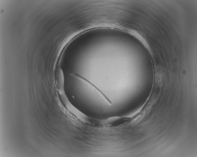 X0000069791004200605221110