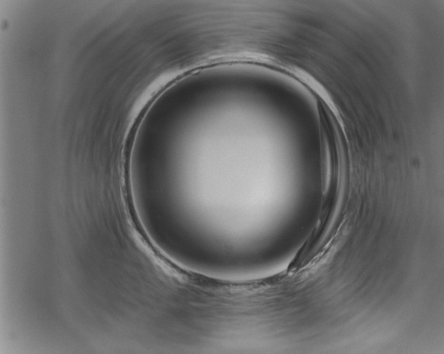 X0000069791005200605221110