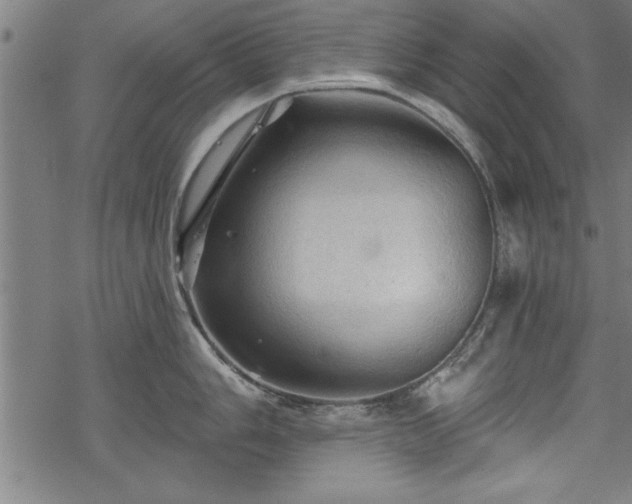 X0000069791006200605221110