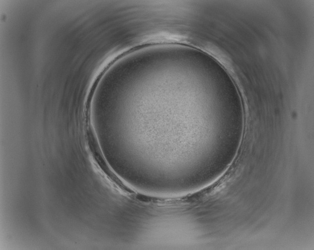 X0000069791008200605221110