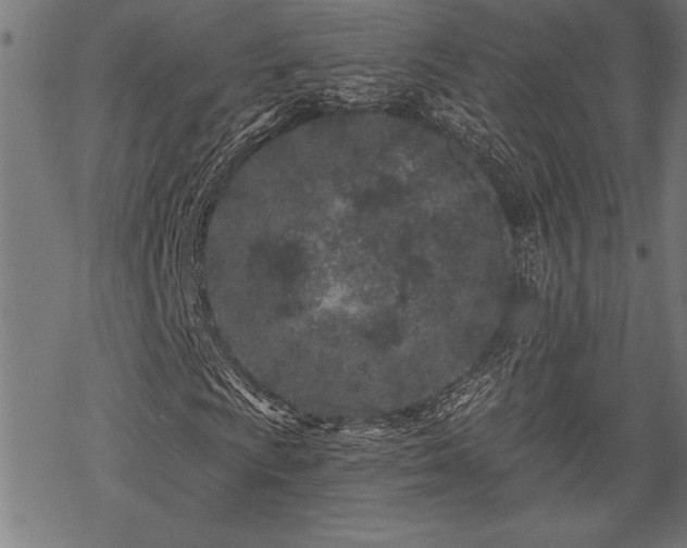 X0000069791009200605221109