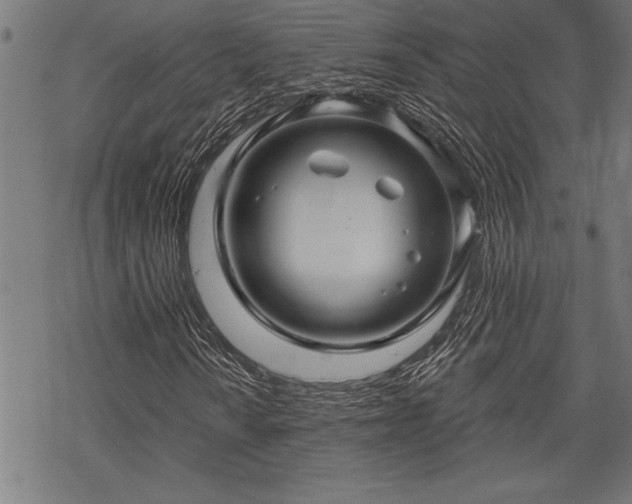 X0000069791010200605221109