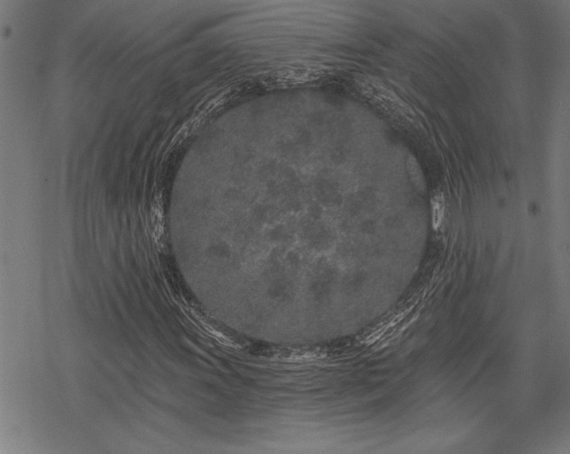 X0000069791011200605221109