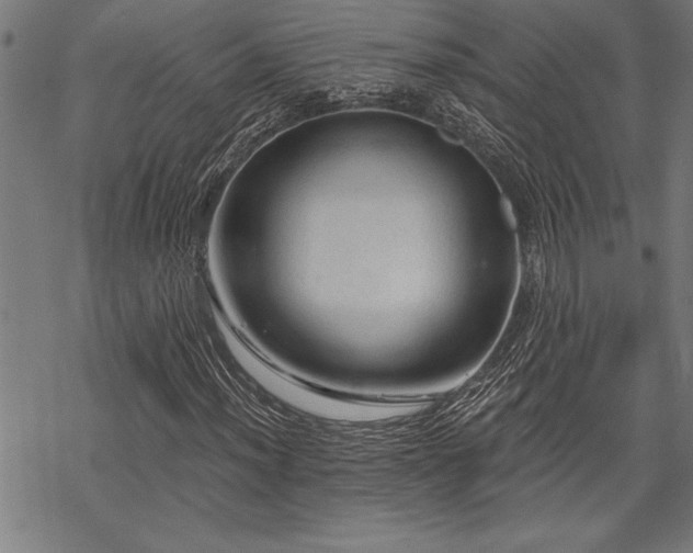 X0000069791012200605221109