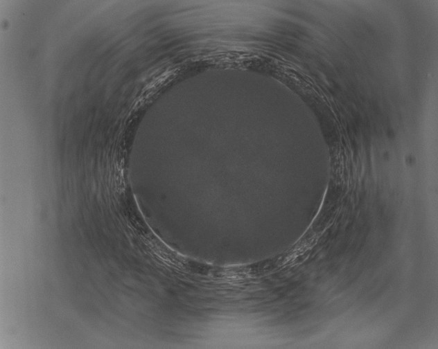 X0000069791013200605221109