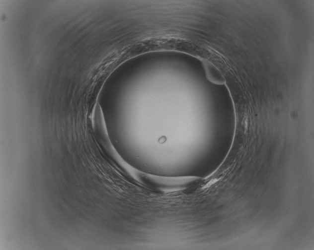 X0000069791014200605221109