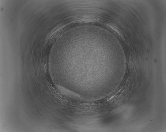 X0000069791015200605221109