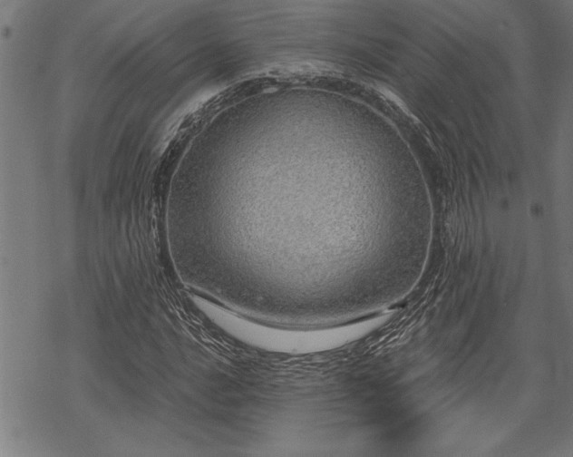 X0000069791016200605221109