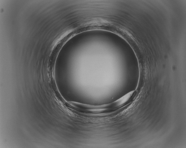 X0000069791018200605221109