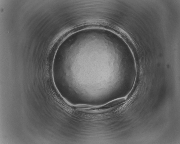 X0000069791019200605221109