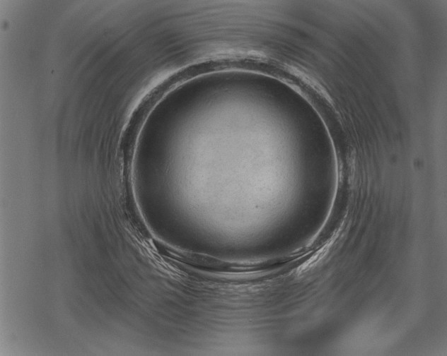 X0000069791021200605221109