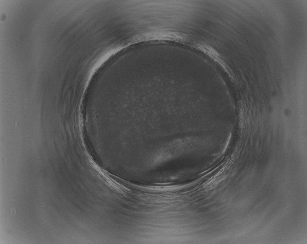 X0000069791024200605221109