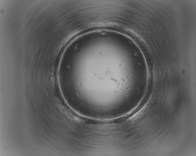 X0000069791025200605221109