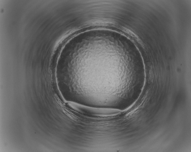 X0000069791027200605221109