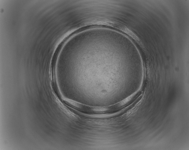 X0000069791028200605221109