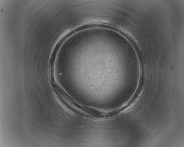 X0000069791029200605221109