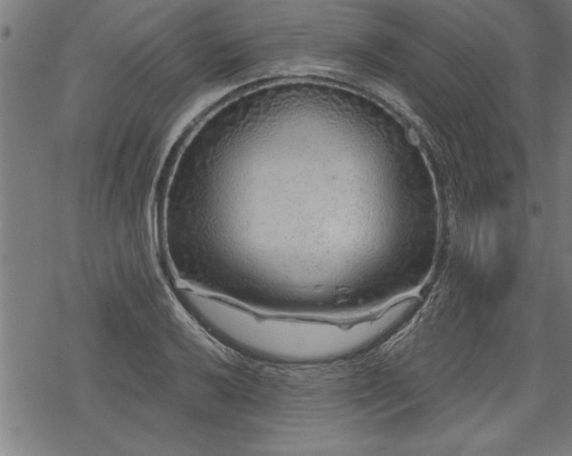 X0000069791032200605221109