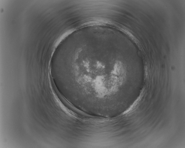 X0000069791034200605221109