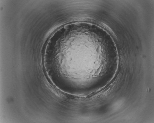 X0000069791035200605221109