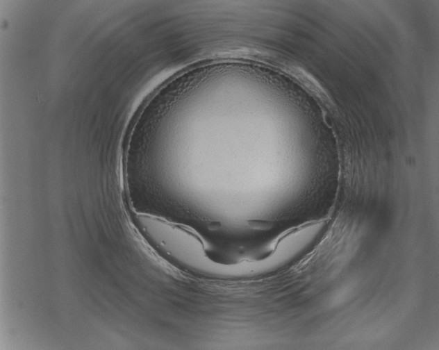 X0000069791036200605221109