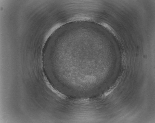 X0000069791038200605221109