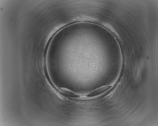 X0000069791040200605221109