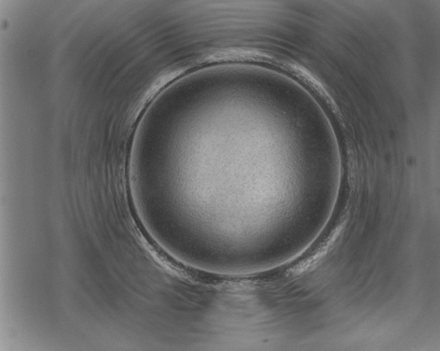 X0000069791041200605221109