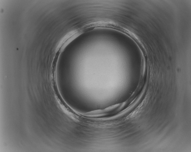 X0000069791042200605221109