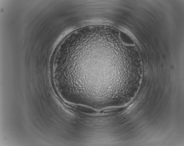 X0000069791043200605221109