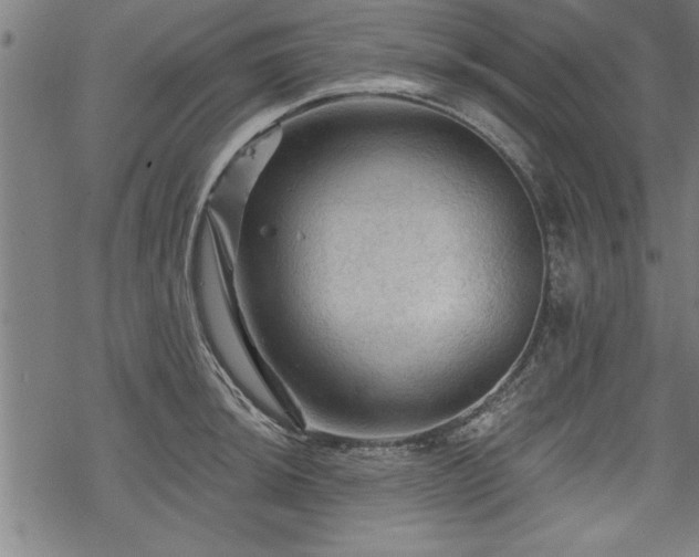 X0000069791044200605221109