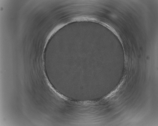 X0000069791045200605221109