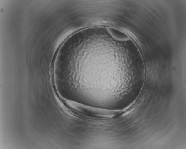 X0000069791047200605221110