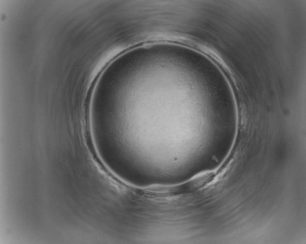 X0000069791048200605221110