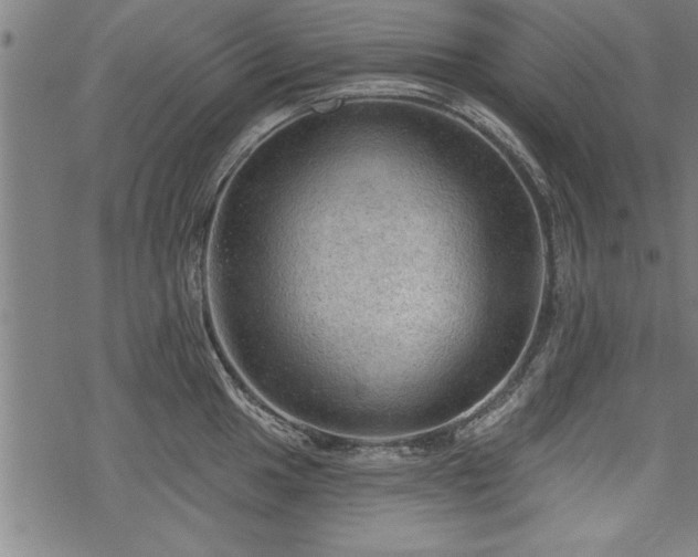 X0000069791049200605221110