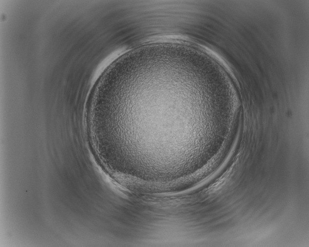 X0000069791050200605221110