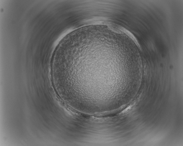 X0000069791051200605221110