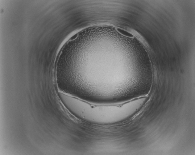 X0000069791052200605221110