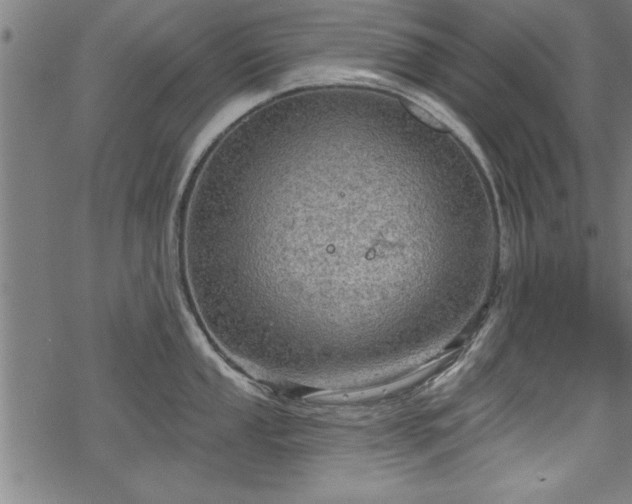 X0000069791053200605221110