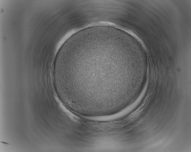 X0000069791054200605221110