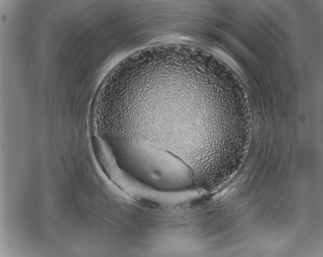 X0000069791055200605221110