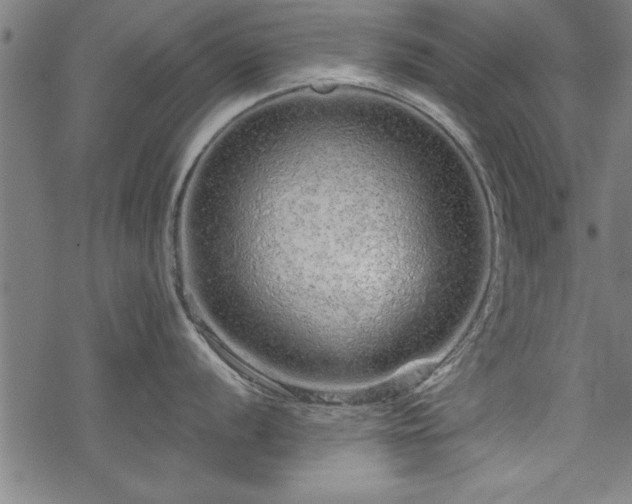 X0000069791056200605221110