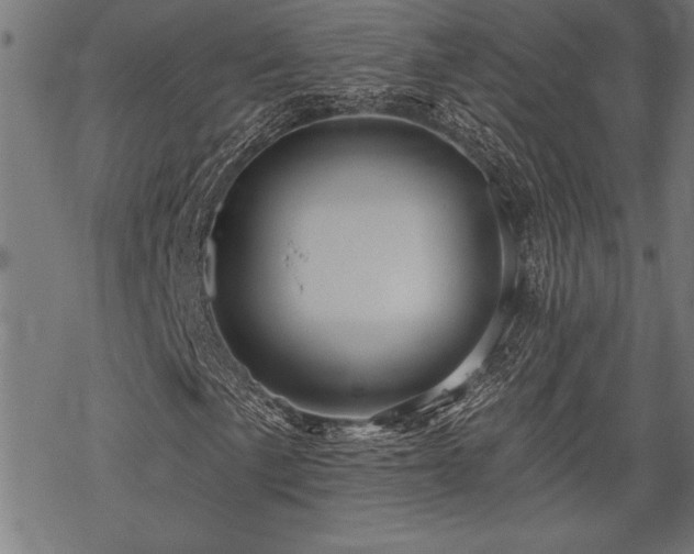 X0000069791057200605221109