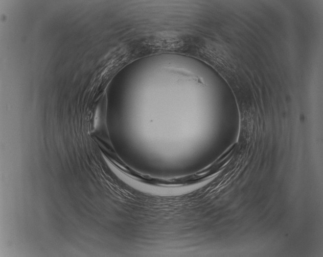 X0000069791058200605221109