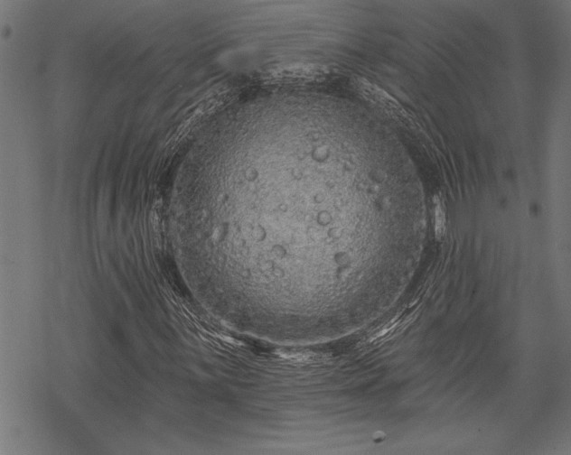 X0000069791059200605221109