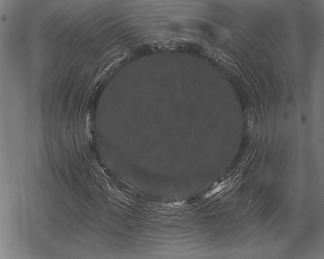 X0000069791060200605221109