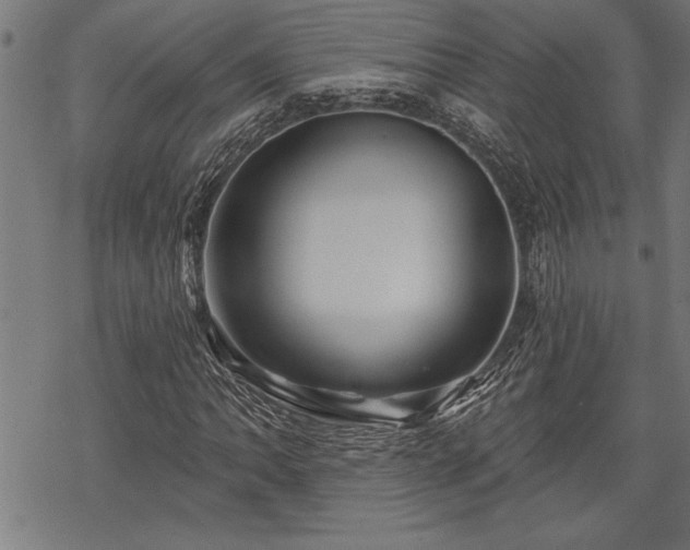 X0000069791062200605221109