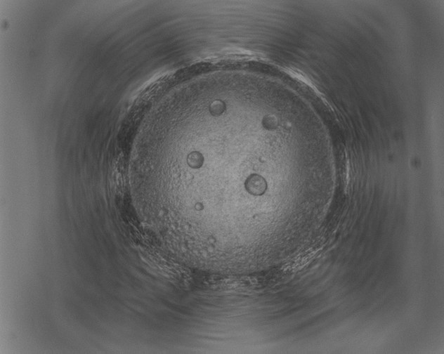 X0000069791063200605221109