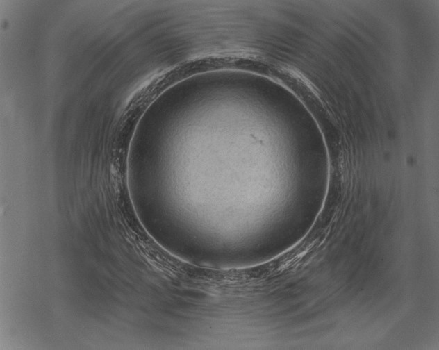 X0000069791064200605221109