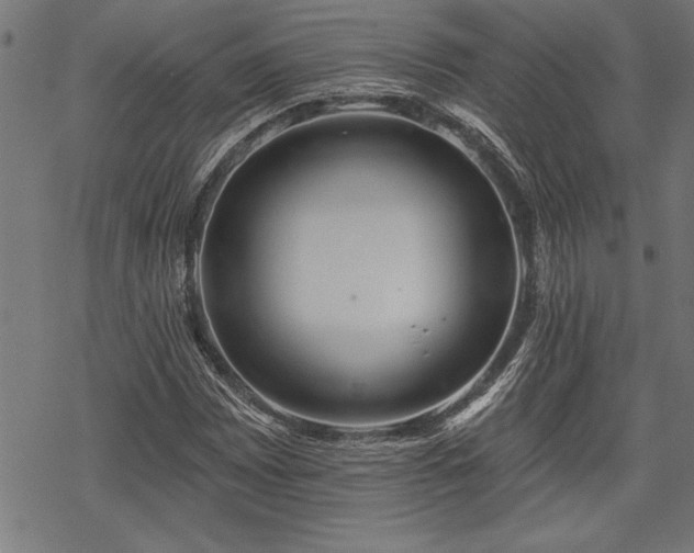 X0000069791065200605221109